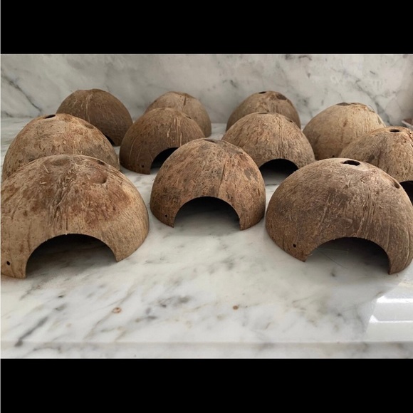 Coconut hut for small pets, reptiles, geckos, lizards, frog, fish, mice, etc - Picture 5 of 5